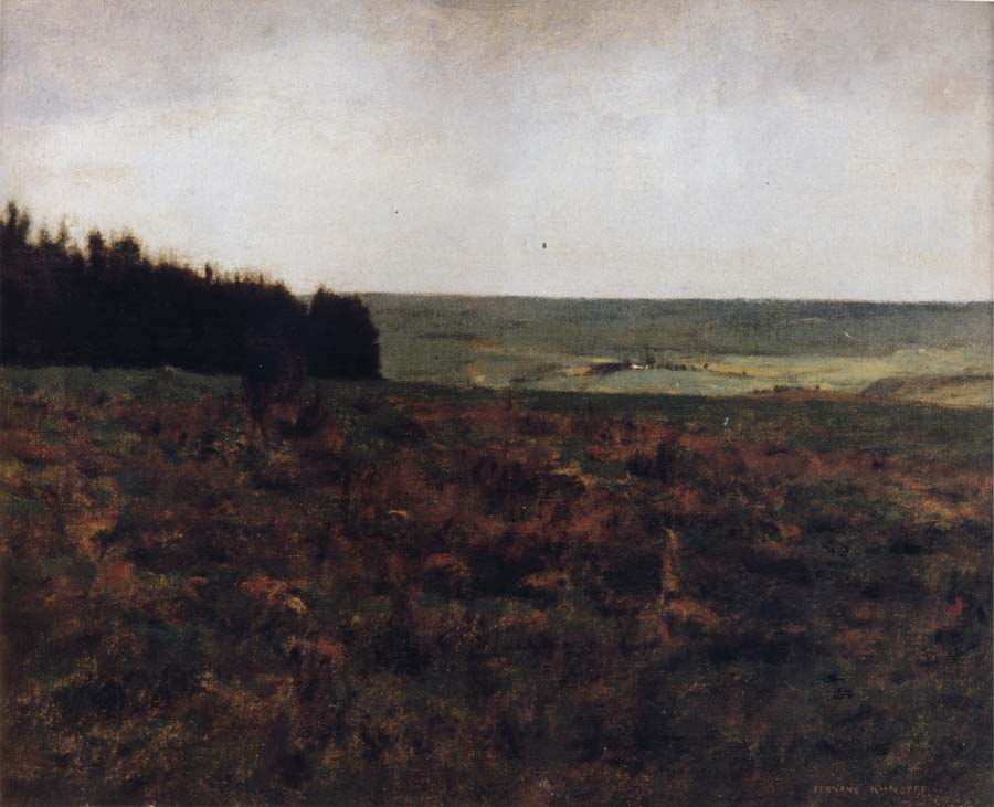 Heaths in the Ardennes